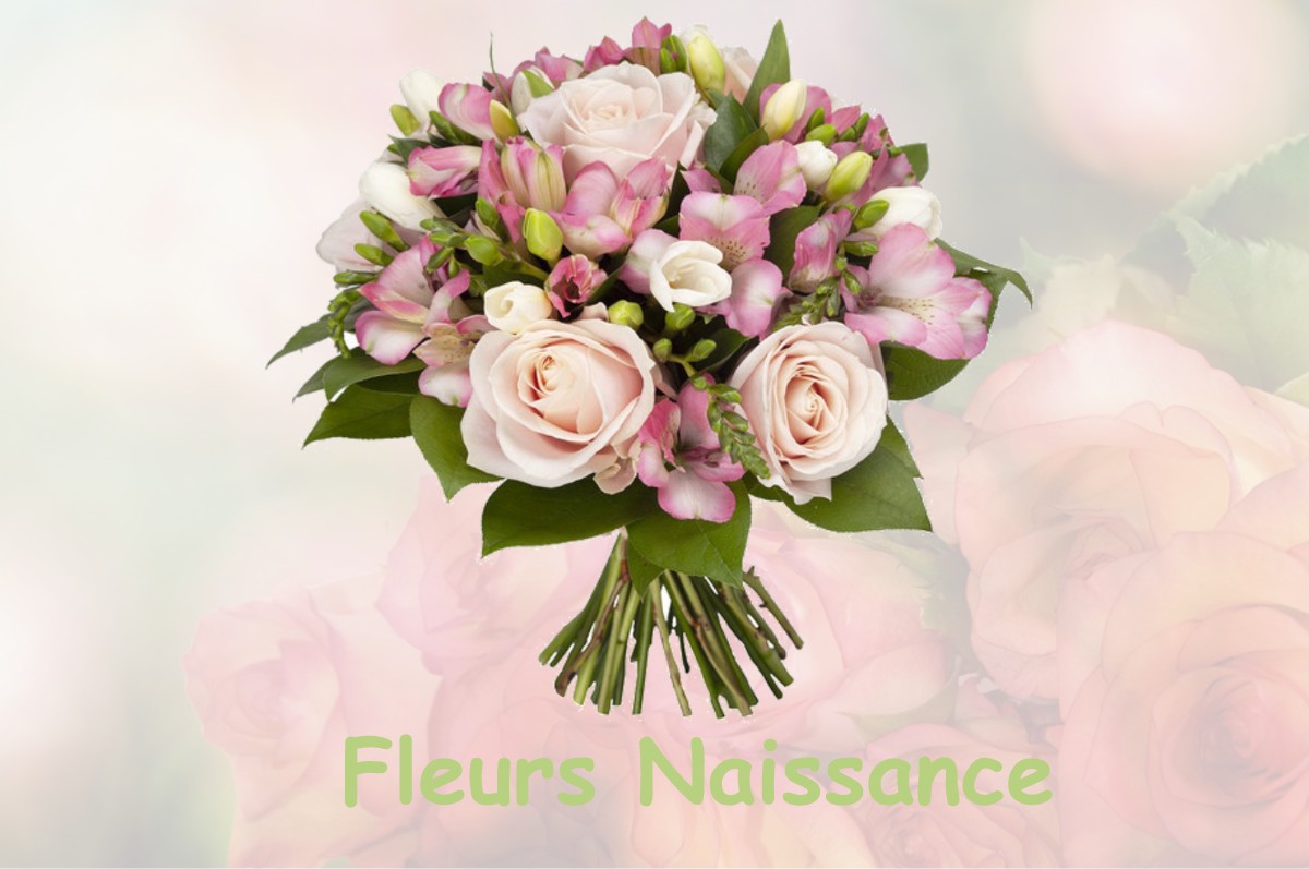 fleurs naissance SAINT-AUBIN-DE-BLAYE